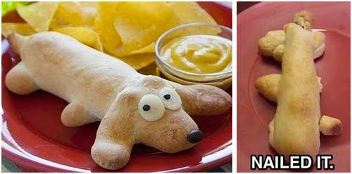 pinterest-fails-dog