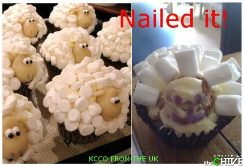 pinterest-fails-sheep